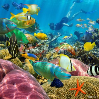 Bild på Man underwater coral reef and tropical fish